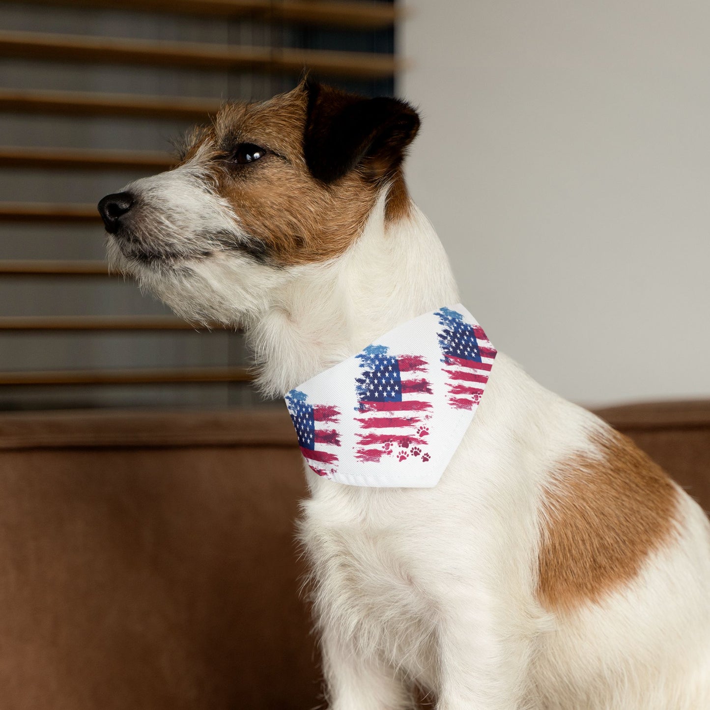 Liberty Bandana Collar