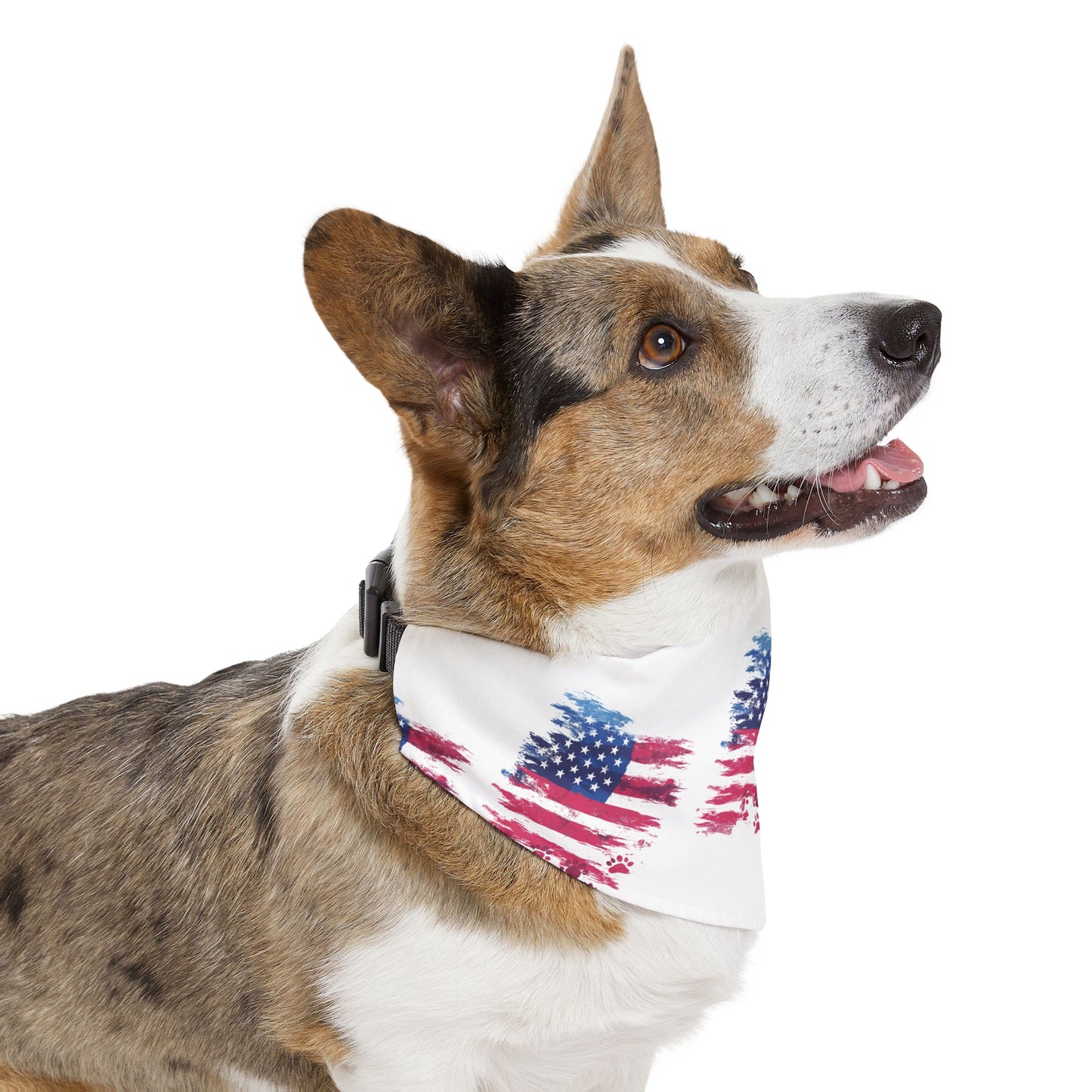 Liberty Bandana Collar