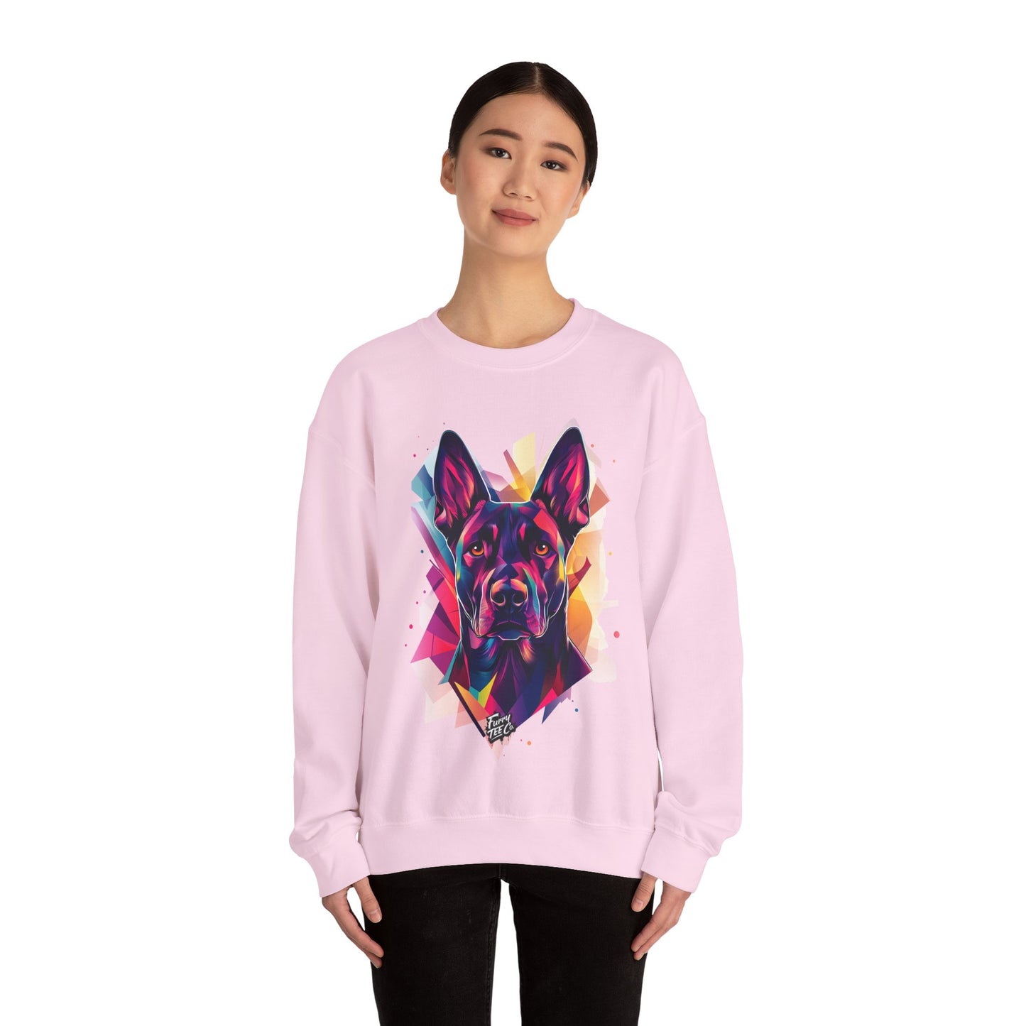 Furry Fragments Sweatshirt