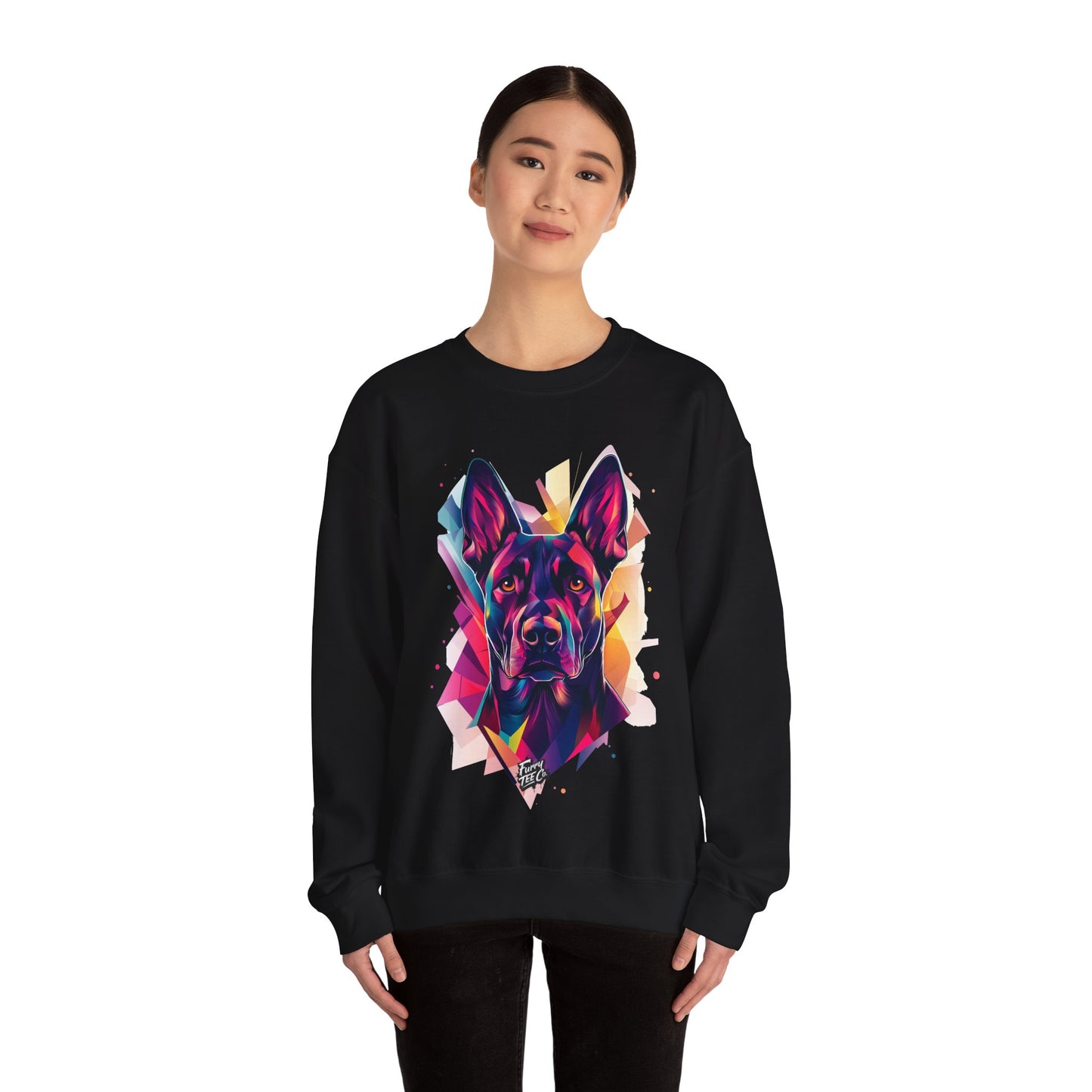 Furry Fragments Sweatshirt