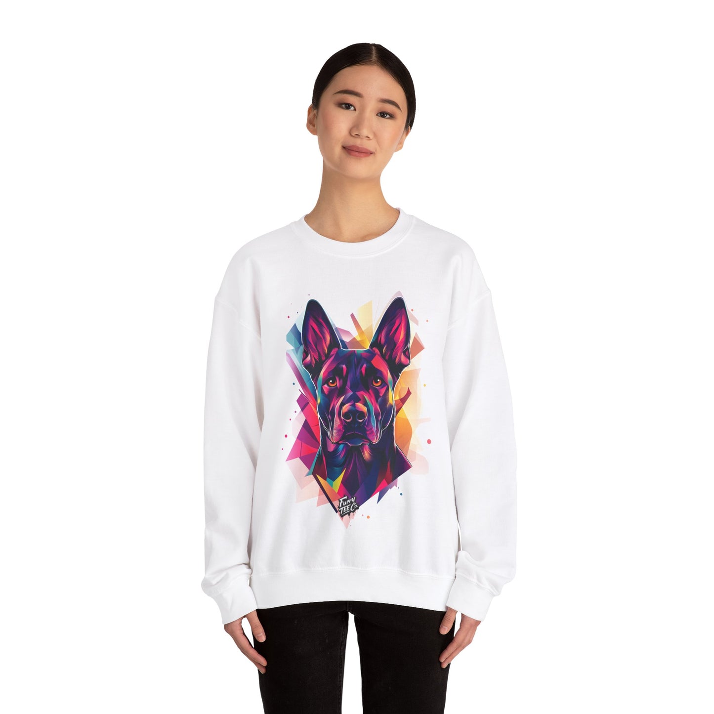 Furry Fragments Sweatshirt