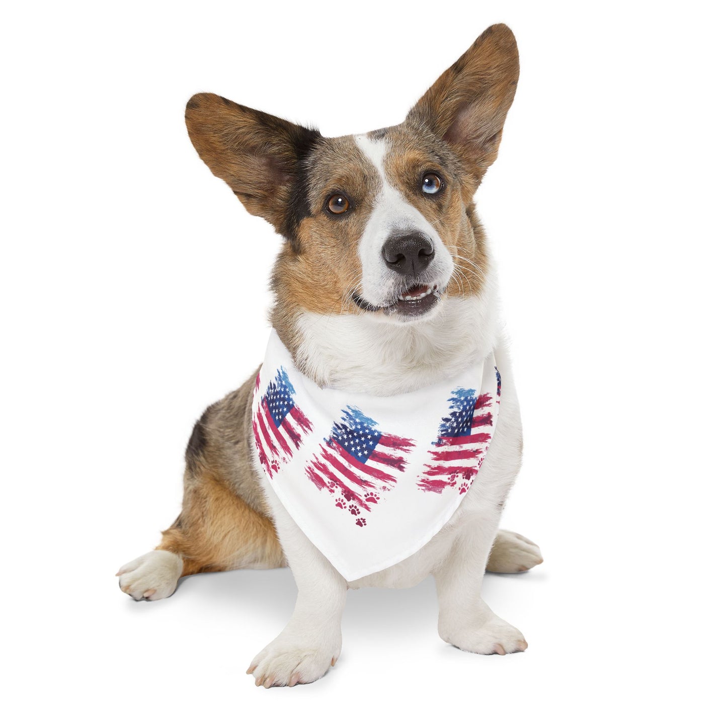 Liberty Bandana Collar